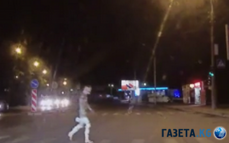 В Новосибирске ночью на видео попала таинственная мумия, переходившая дорогу
