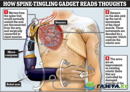 Технологии будущего: ученые создали уникальный протез, которым управляет спинной мозг